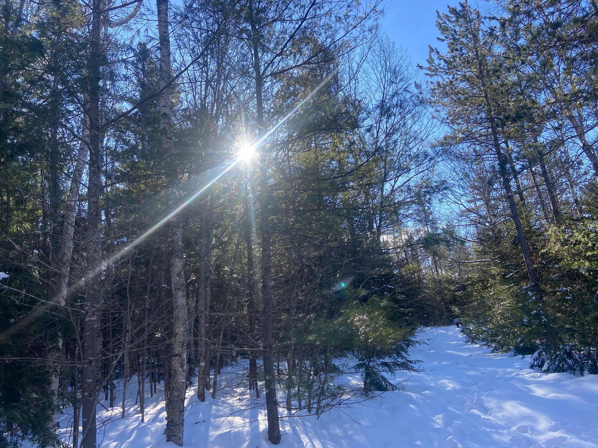 Lot 3 Mt Tumbledown Road Bethel, ME 04217 - Photo 1 of 18 IMG_4710