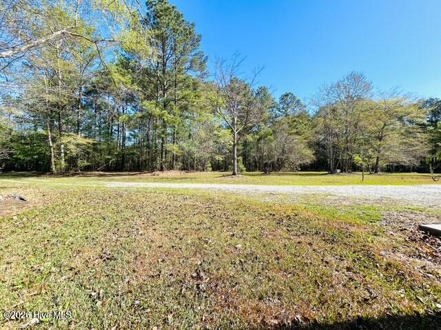 127 Rojay Lane Richlands, NC 28574 - Photo 78 of 100 IMG_8168