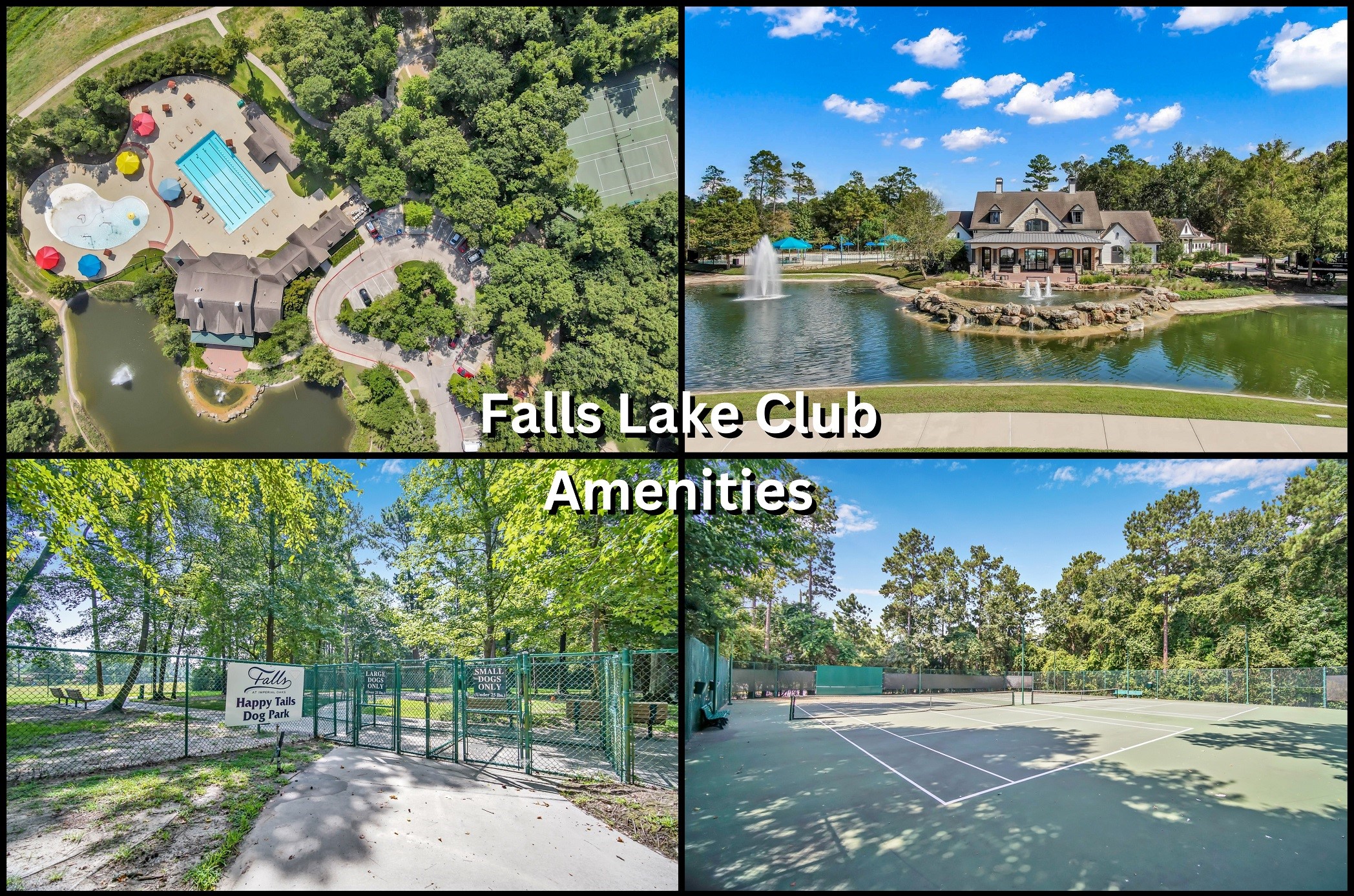 31742 Serrano Bluff Lane Spring, TX 77386 - Photo 31 of 40 Lake club is blocks away w/ Pools, splashpad, tennis court, dog park and playground.