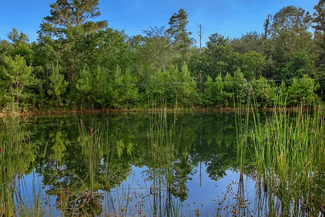 $2,250,000 | 1817 St Beulah Chapel Road, Montgomery, TX 77316