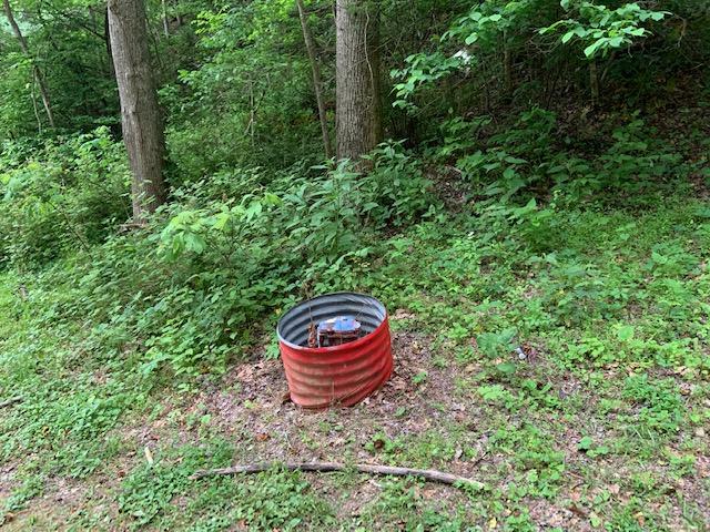 6517 Walnut Grove Road Mendota, VA 24270 - Photo 32 of 34 IMG_0729 (1)