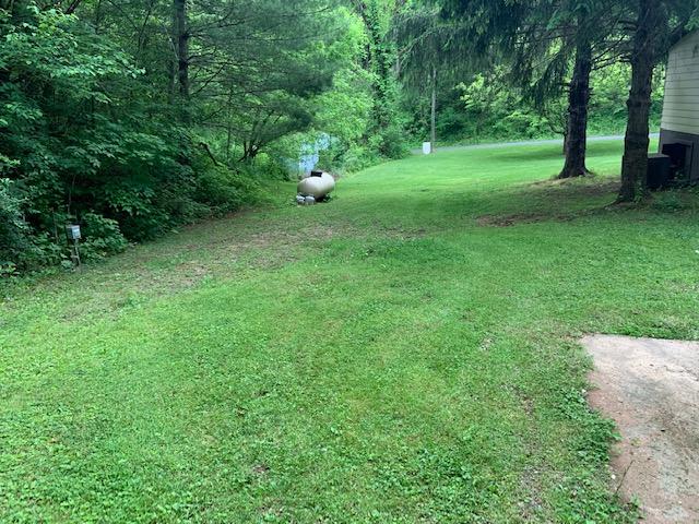 6517 Walnut Grove Road Mendota, VA 24270 - Photo 33 of 34 IMG_0731