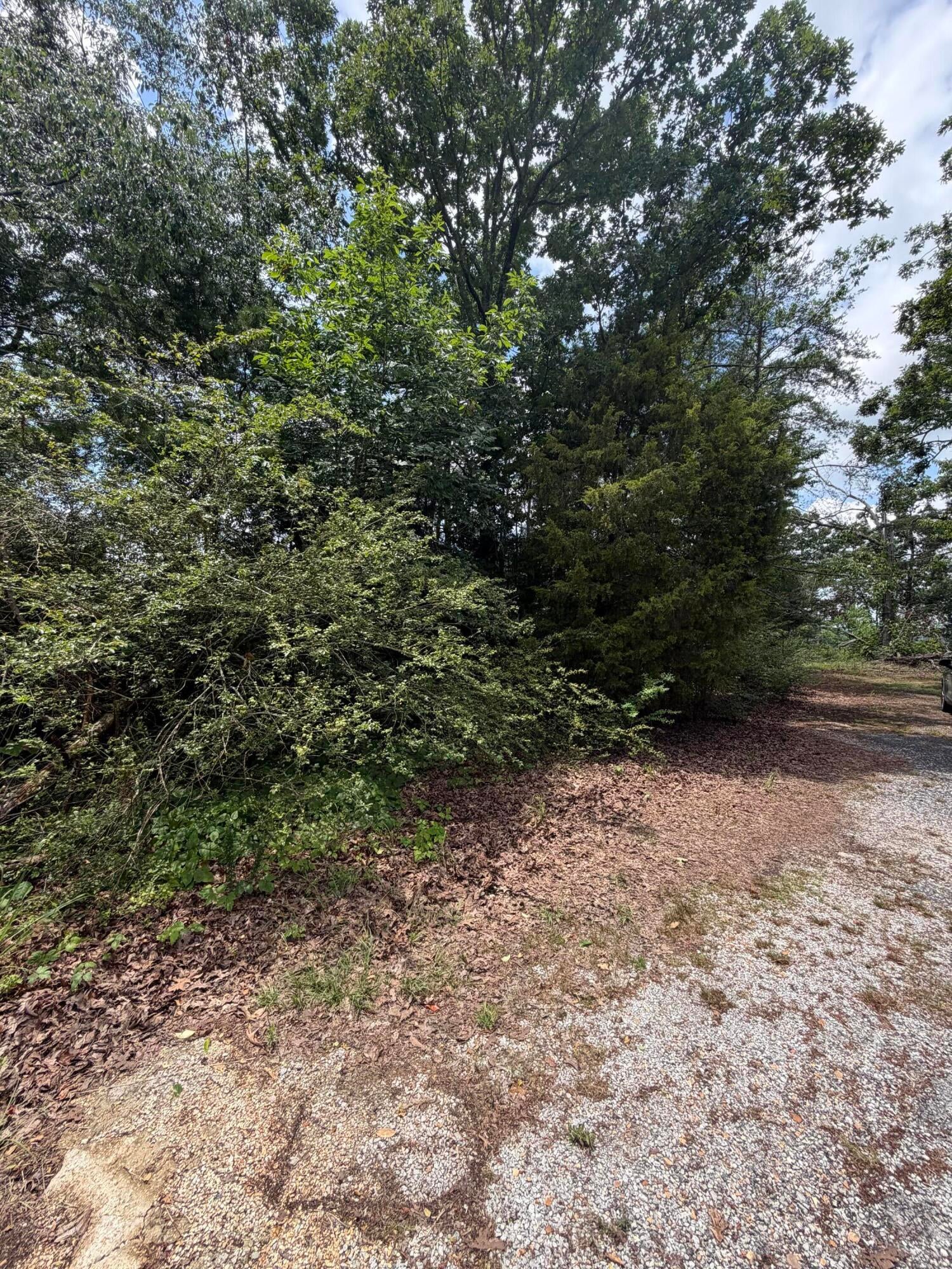 Lot 27 Riverton Riviera Ii Cherokee, AL 35616 - Photo 6 of 9 IMG_3380