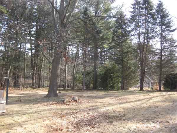 31 Oxbow Road Concord, MA 01742 - Photo 13 of 16 Gallery Image 13