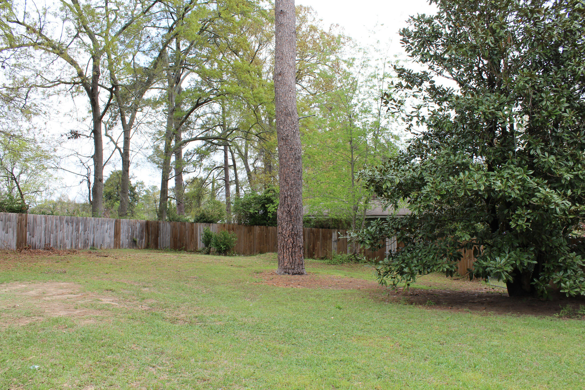 278 Pinehill Road Orangeburg, SC 29115 - Photo 36 of 36 IMG_8367