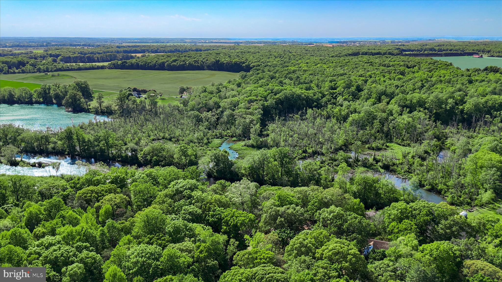 251 Rings End Road Millington, MD 21651 - Photo 45 of 47 an aerial view of green landscape with trees houses and lake view
