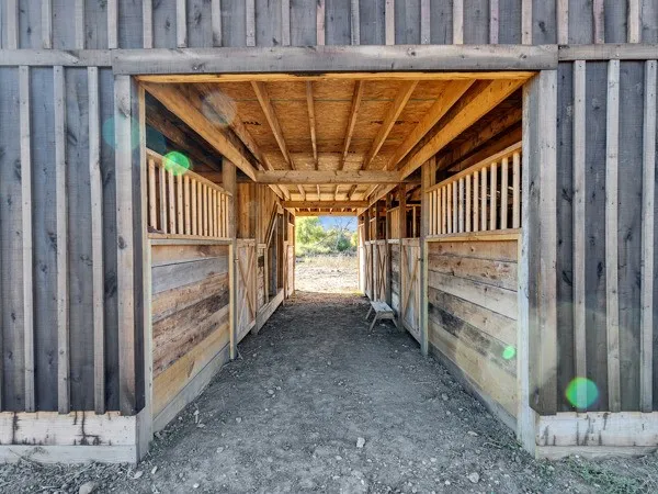 a view of a back yard of the house