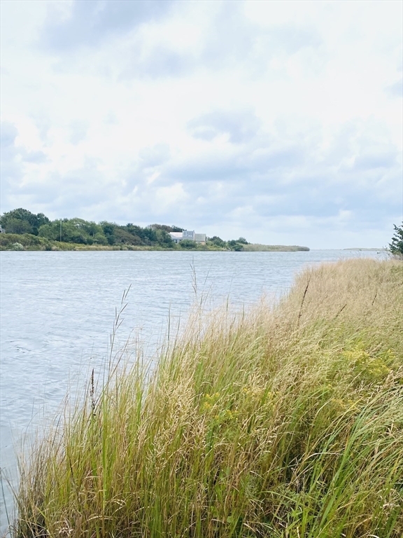 205 S Road Chilmark, MA 02535 - Photo 39 of 41