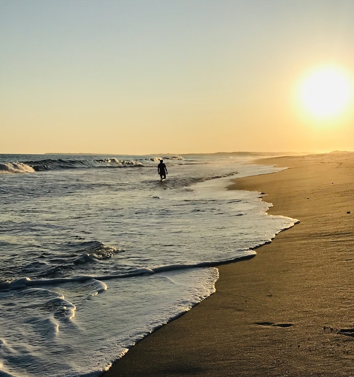 205 S Road Chilmark, MA 02535 - Photo 41 of 41