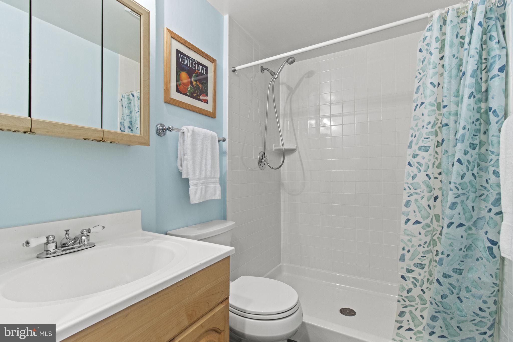 10016 Hall Road Potomac, MD 20854 - Photo 28 of 30 Lower-Level Bathroom