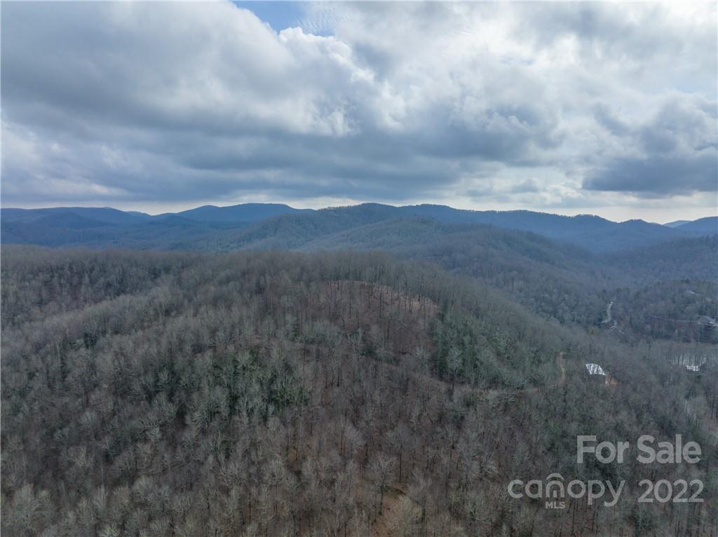 77 Nancy Mountain Road Rosman, NC 28772 - Photo 4 of 9 Gallery Image 4