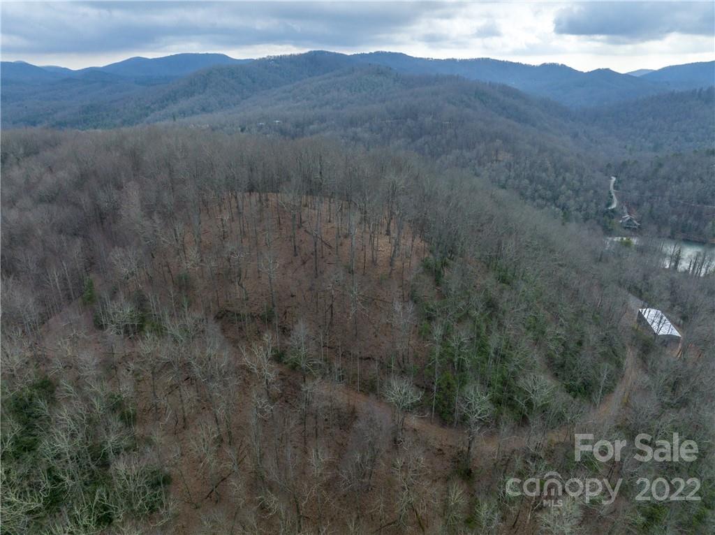 77 Nancy Mountain Road Rosman, NC 28772 - Photo 5 of 9 Gallery Image 5