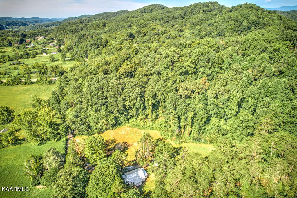 9519 Pedigo Road Powell, TN 37849 - Photo 24 of 29 Gallery Image 24