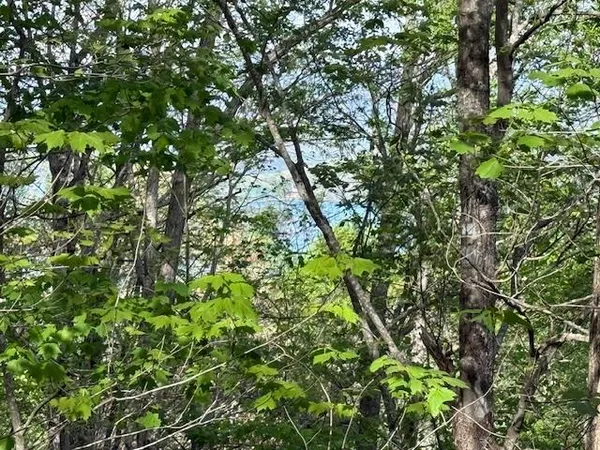 $43,000 | 0 Mining Gap Road, Young Harris, GA 30582