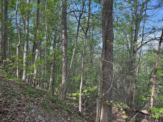 0 Mining Gap Road Young Harris, GA 30582 - Photo 2 of 5