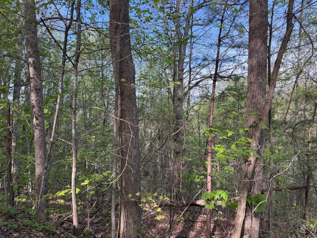 0 Mining Gap Road Young Harris, GA 30582 - Photo 3 of 5