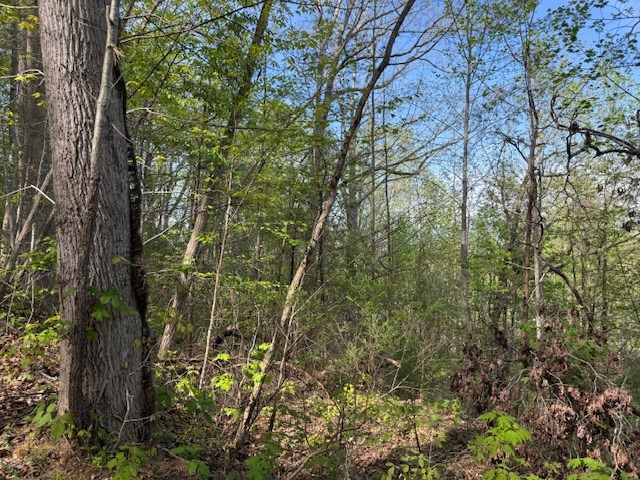 0 Mining Gap Road Young Harris, GA 30582 - Photo 4 of 5