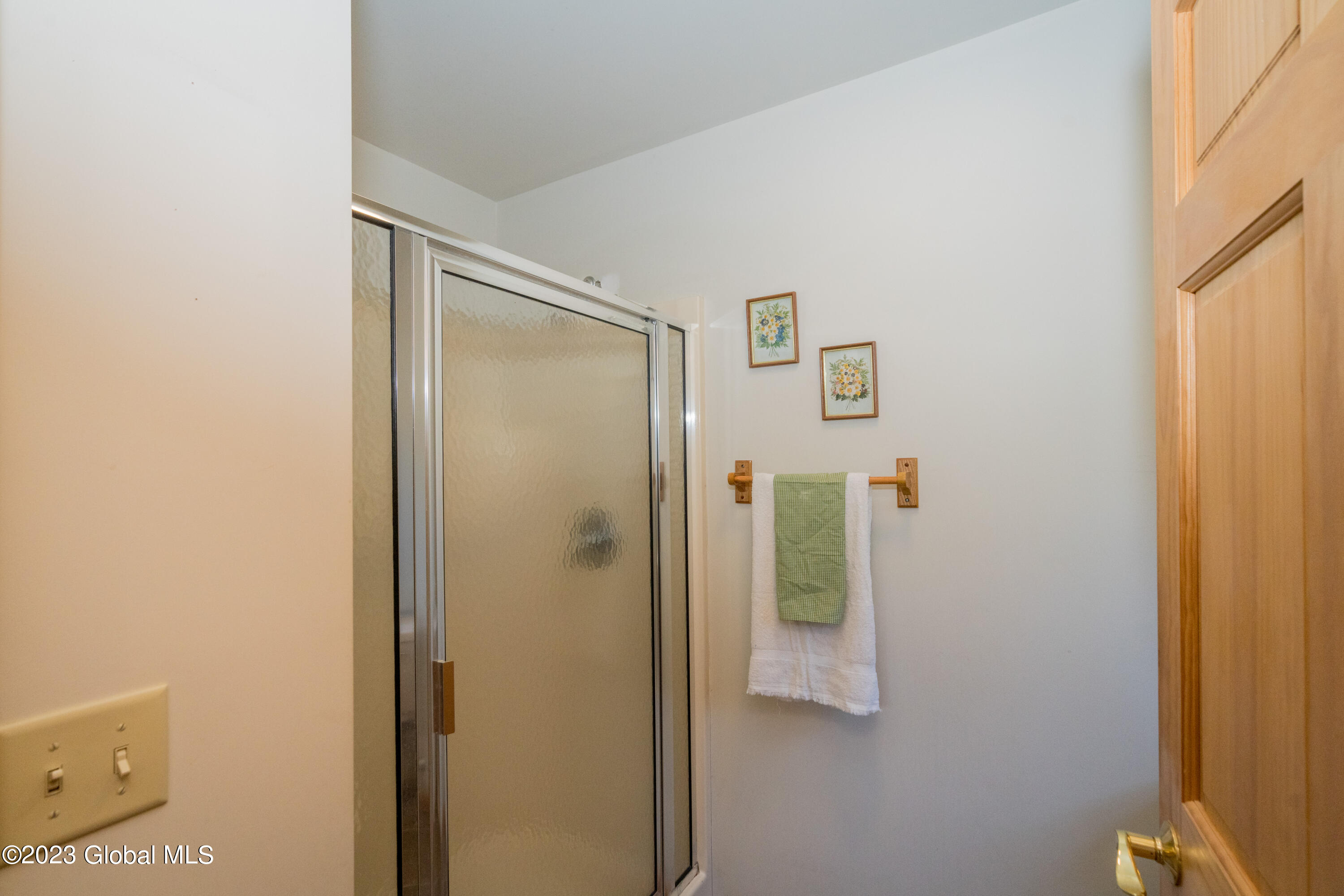 381 Greene Road Greenfield, NY 12833 - Photo 33 of 76 DSC03865