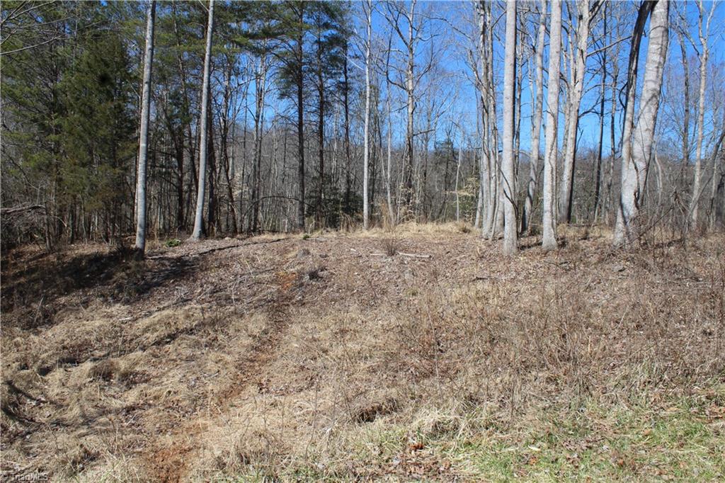 Lot 10 Reeves Lane Elkin, NC 28621 - Photo 1 of 2 Gallery Image 1