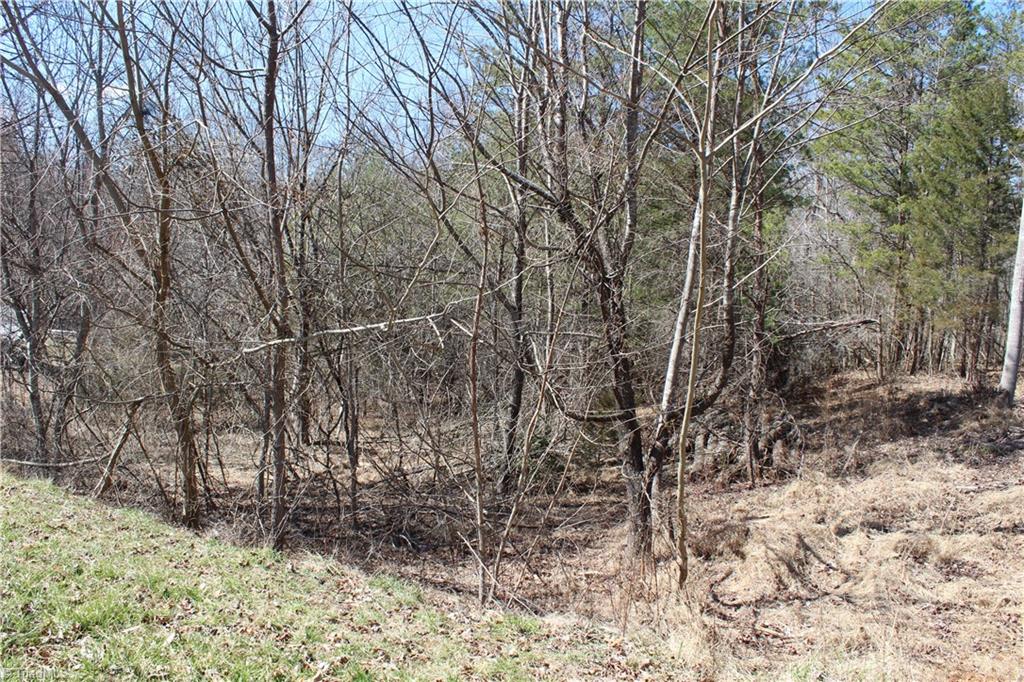Lot 10 Reeves Lane Elkin, NC 28621 - Photo 2 of 2 Gallery Image 2