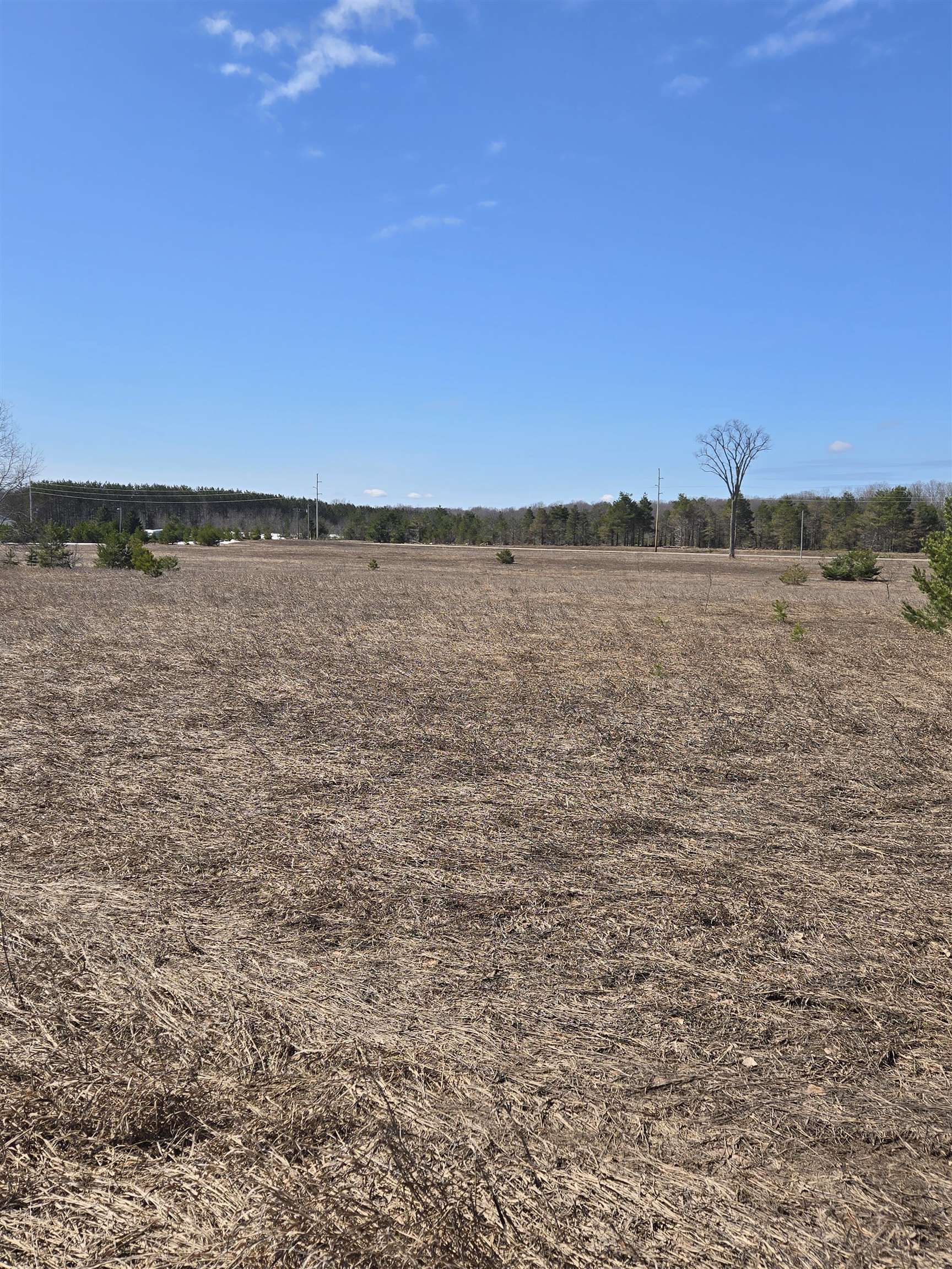 B Johnson Road, Unit LOT: B Mancelona, MI 49659 - Photo 16 of 48