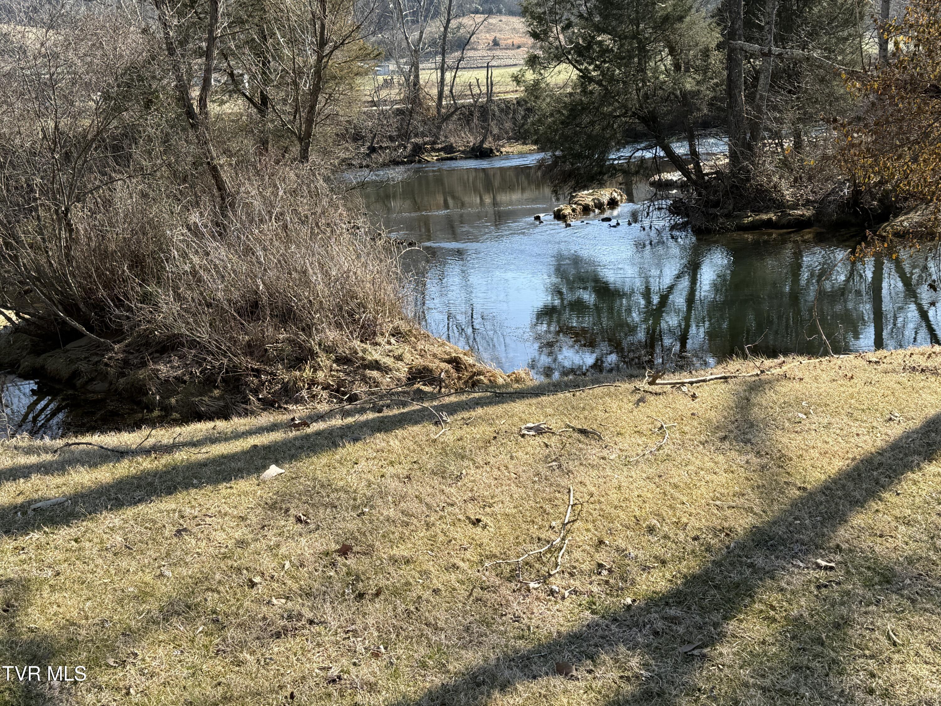 426 River Islands Road Elizabethton, TN 37643 - Photo 139 of 167 IMG_3675