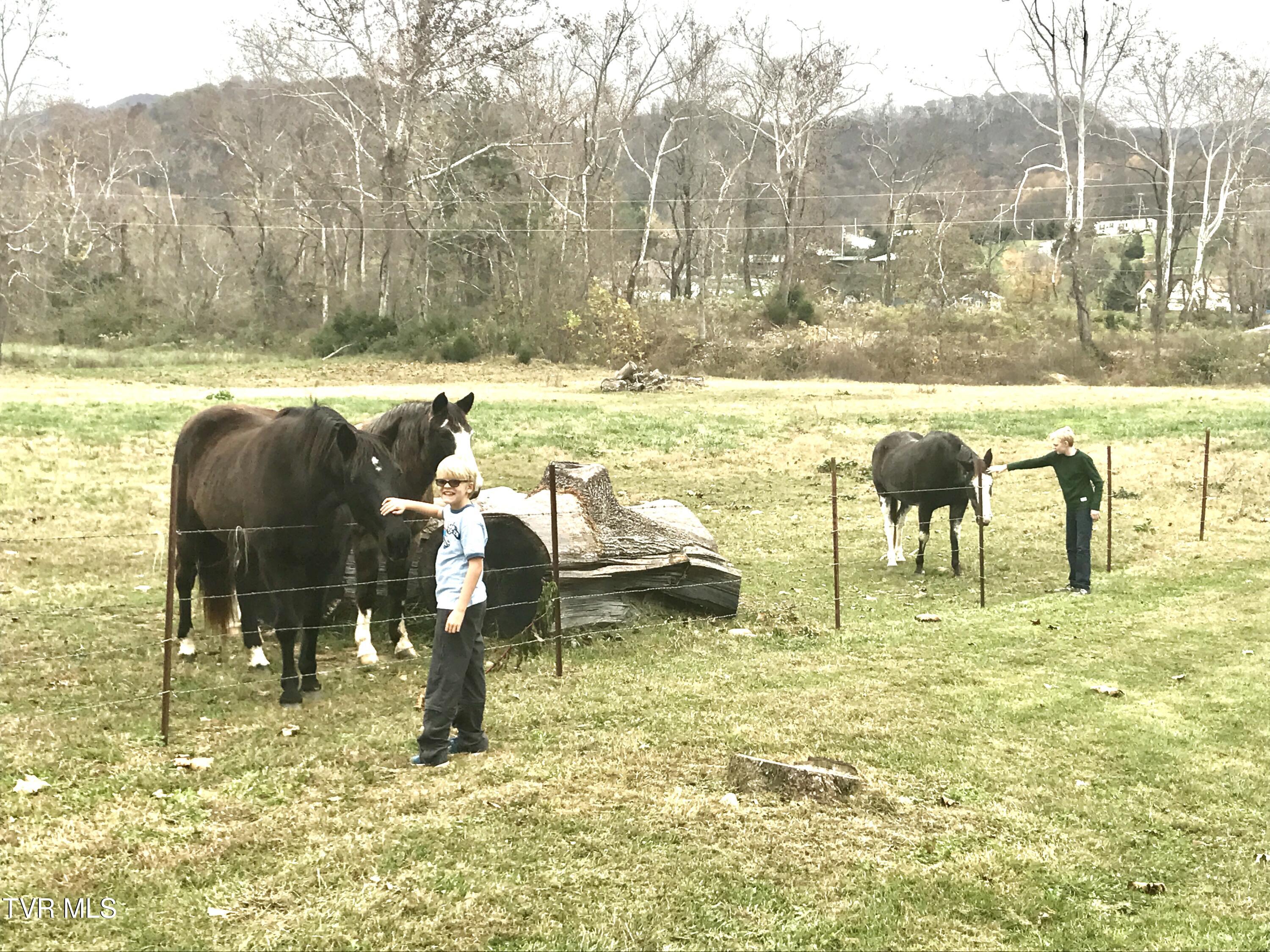 426 River Islands Road Elizabethton, TN 37643 - Photo 144 of 167 IMG_2486