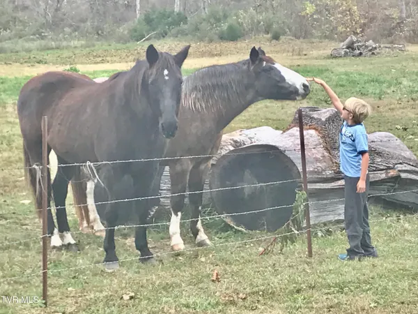 $1,550,000 | 426 River Islands Road, Elizabethton, TN 37643