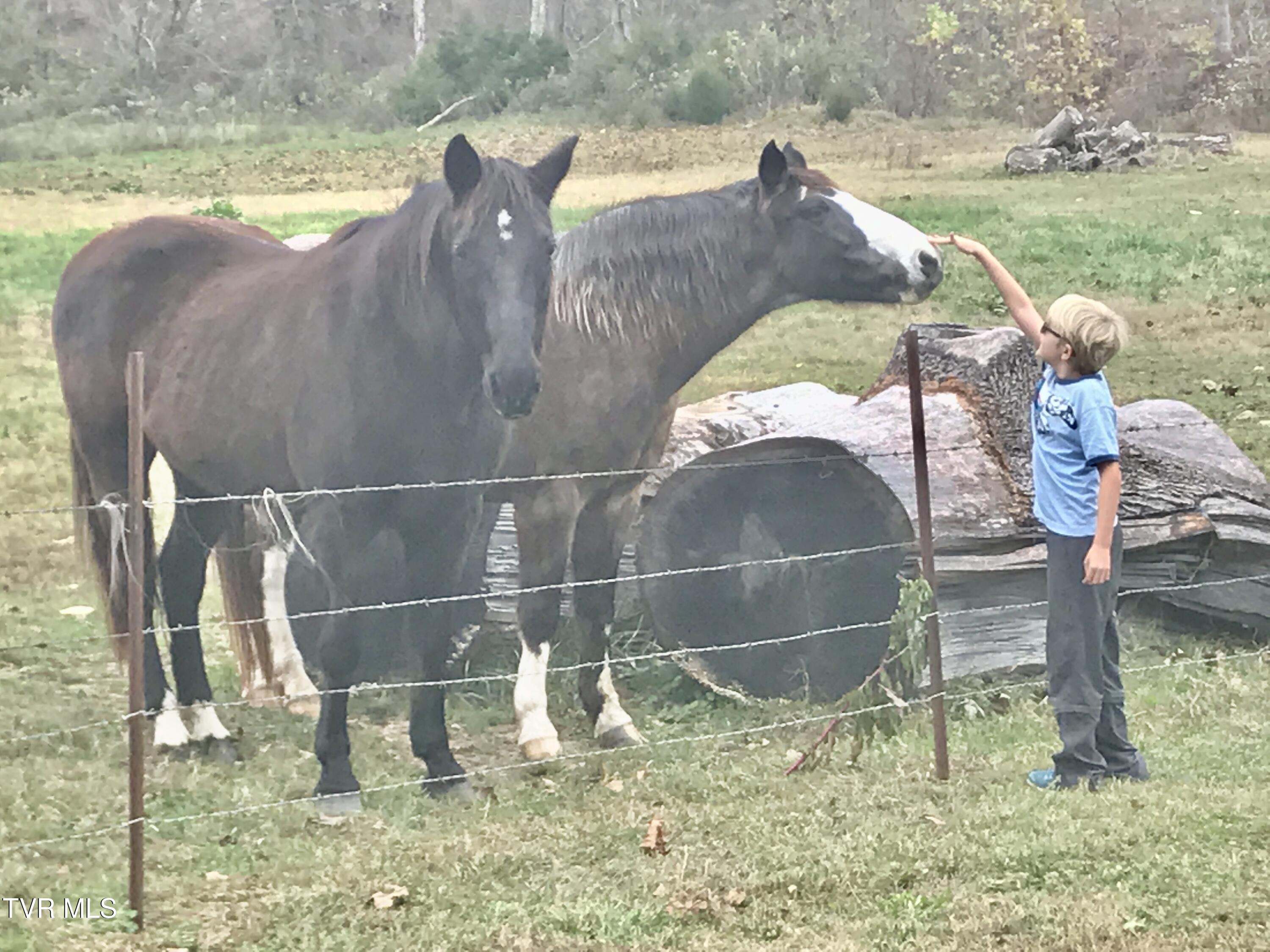 426 River Islands Road Elizabethton, TN 37643 - Photo 145 of 167 IMG_2489