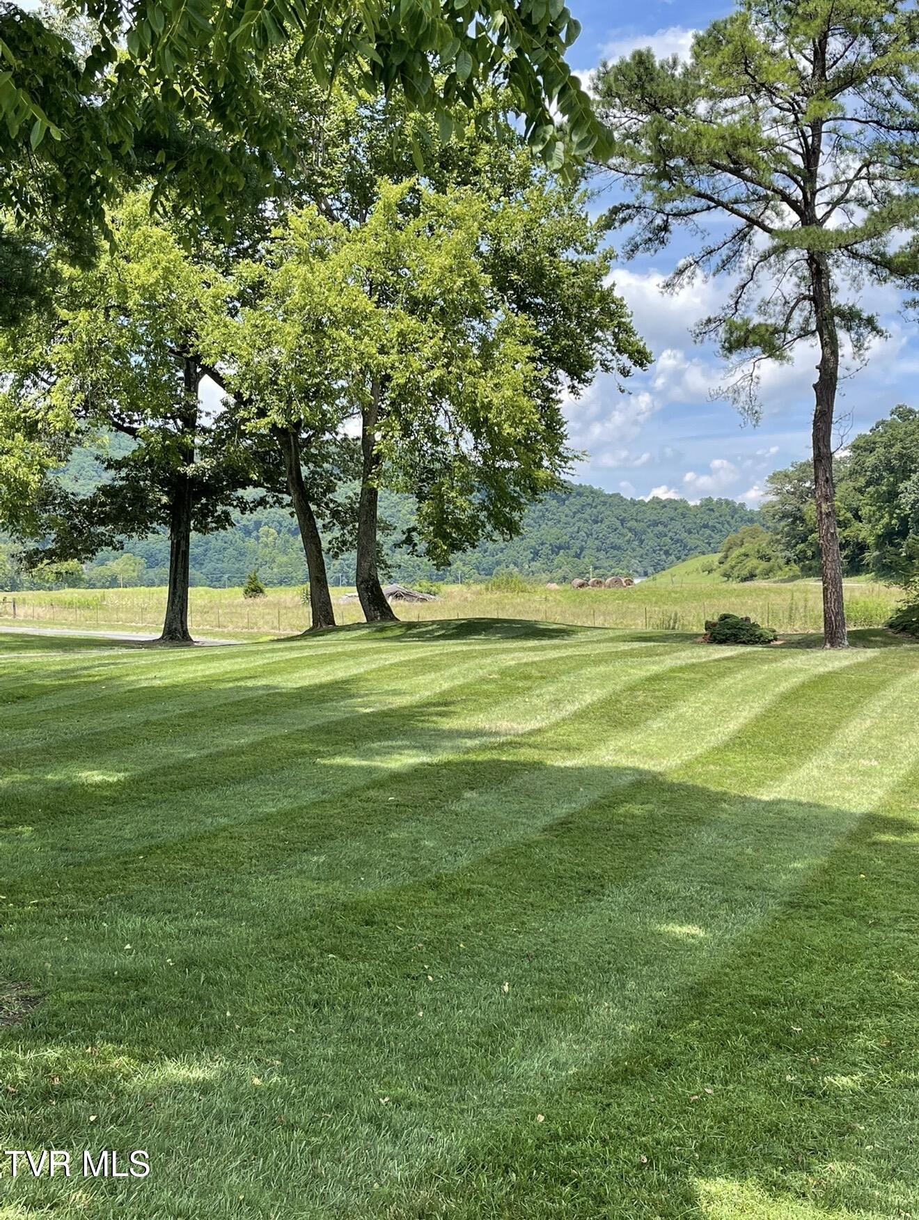 426 River Islands Road Elizabethton, TN 37643 - Photo 147 of 167 IMG_3921