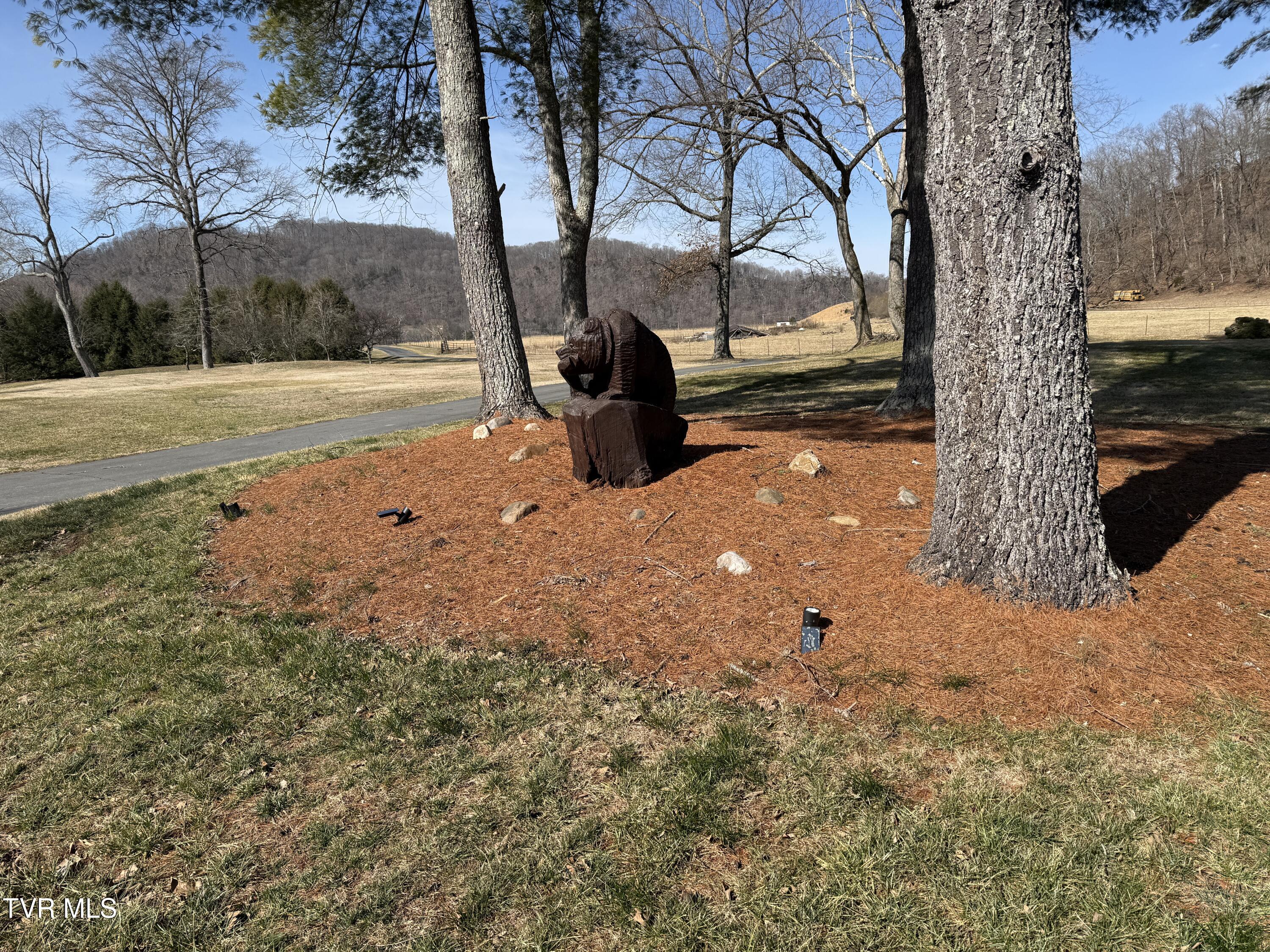 426 River Islands Road Elizabethton, TN 37643 - Photo 153 of 167 IMG_3686