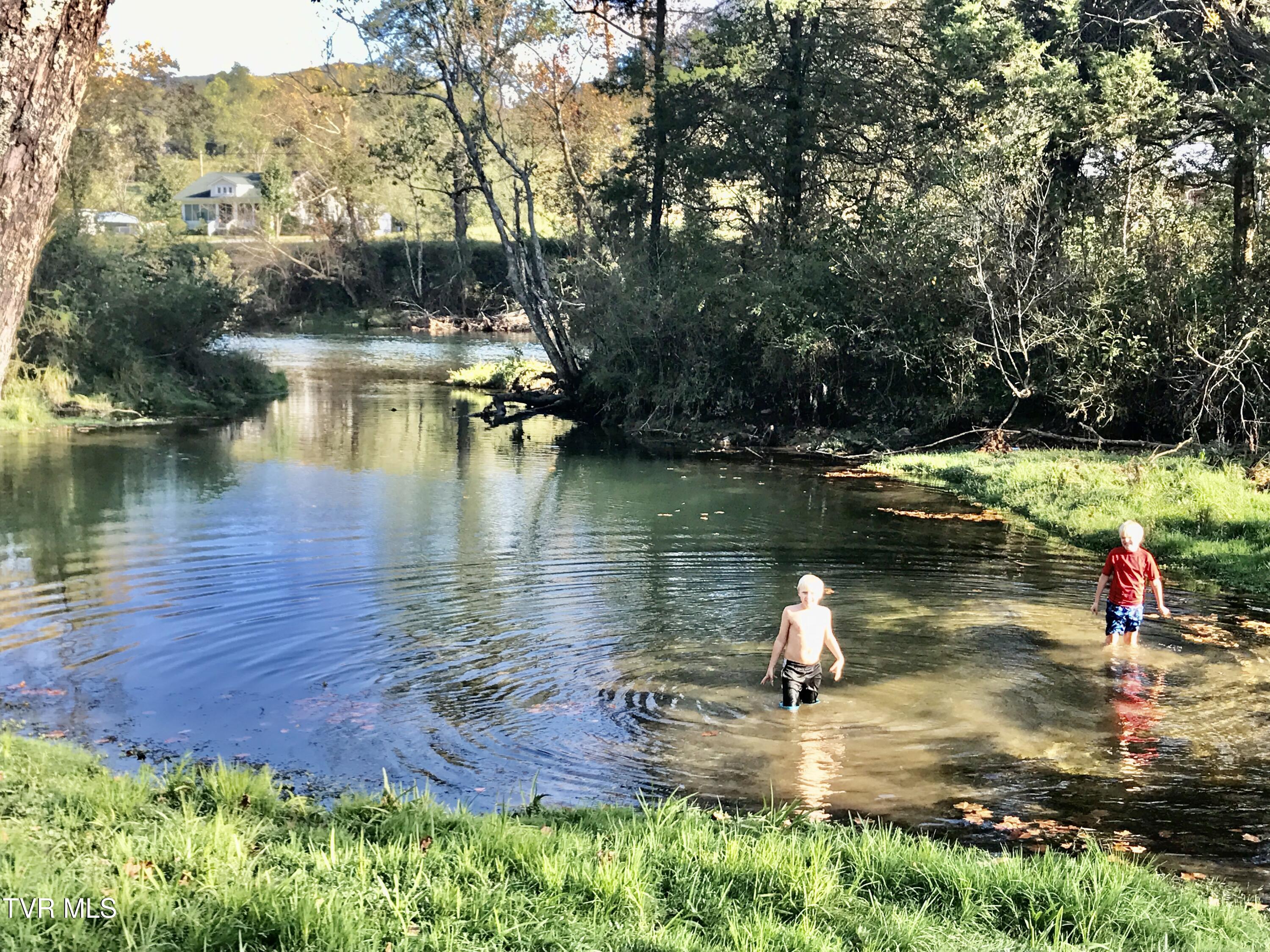 426 River Islands Road Elizabethton, TN 37643 - Photo 2 of 167 IMG_2324