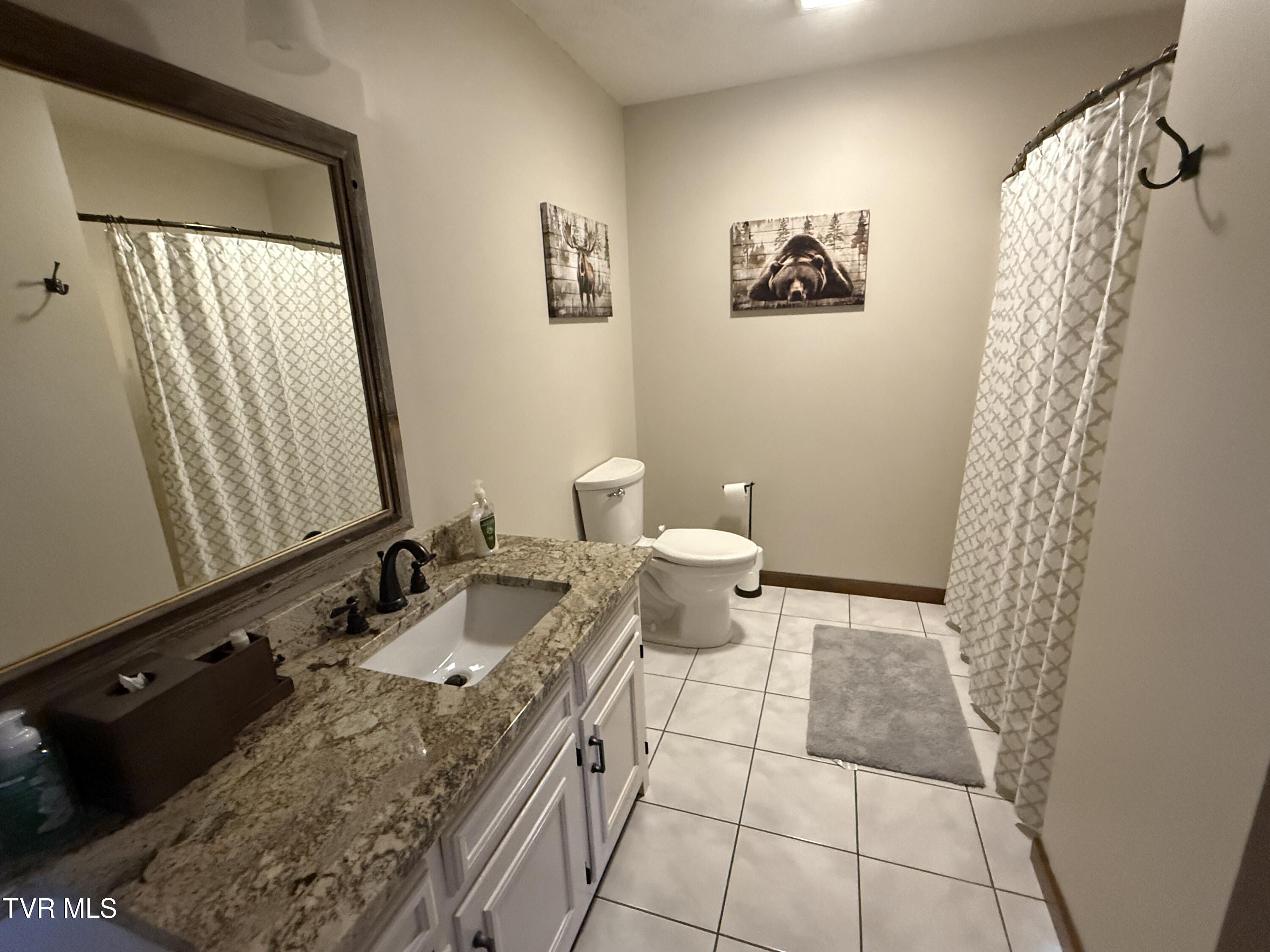 426 River Islands Road Elizabethton, TN 37643 - Photo 36 of 167 IMG_3850