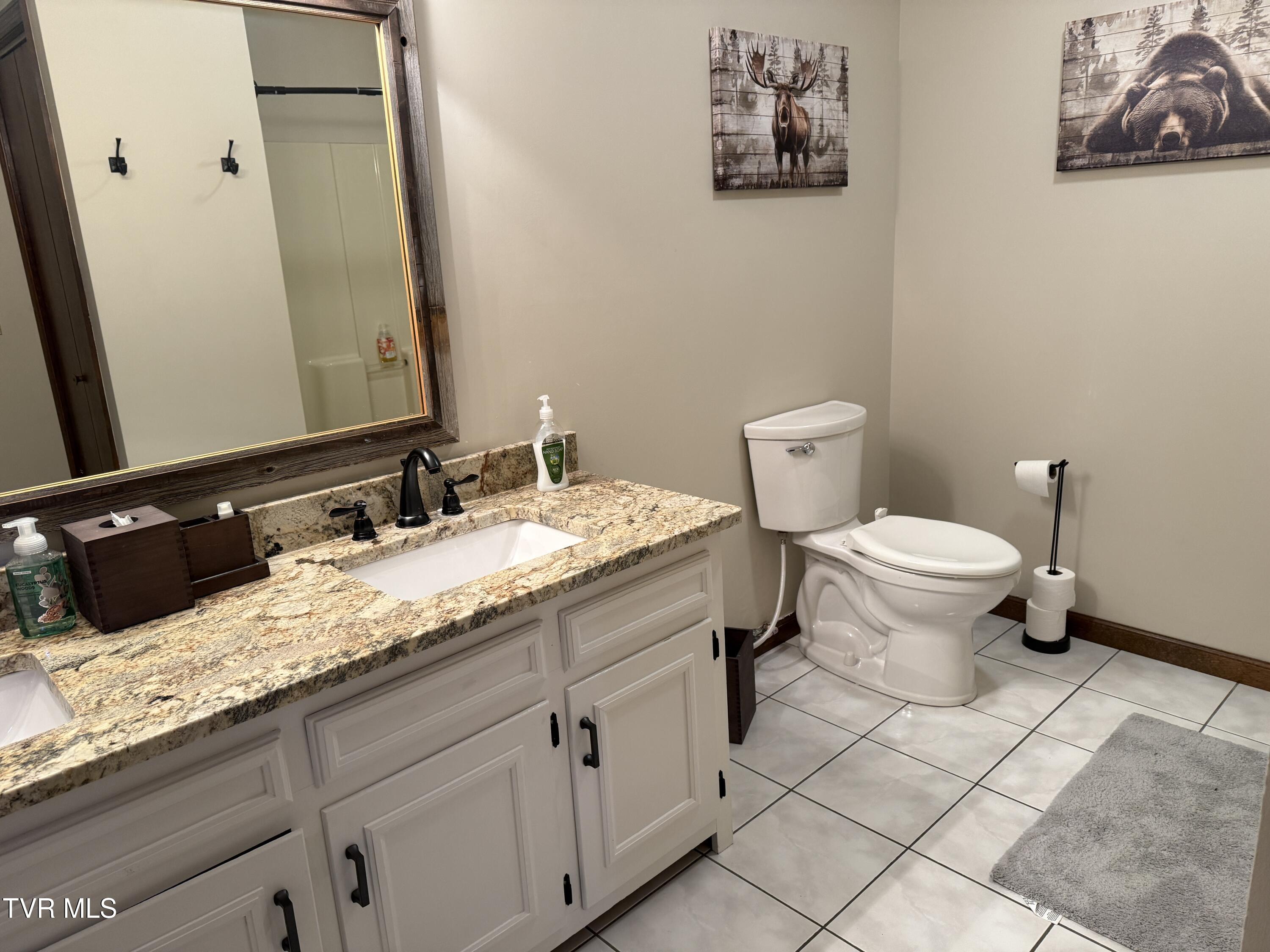 426 River Islands Road Elizabethton, TN 37643 - Photo 61 of 167 IMG_3704