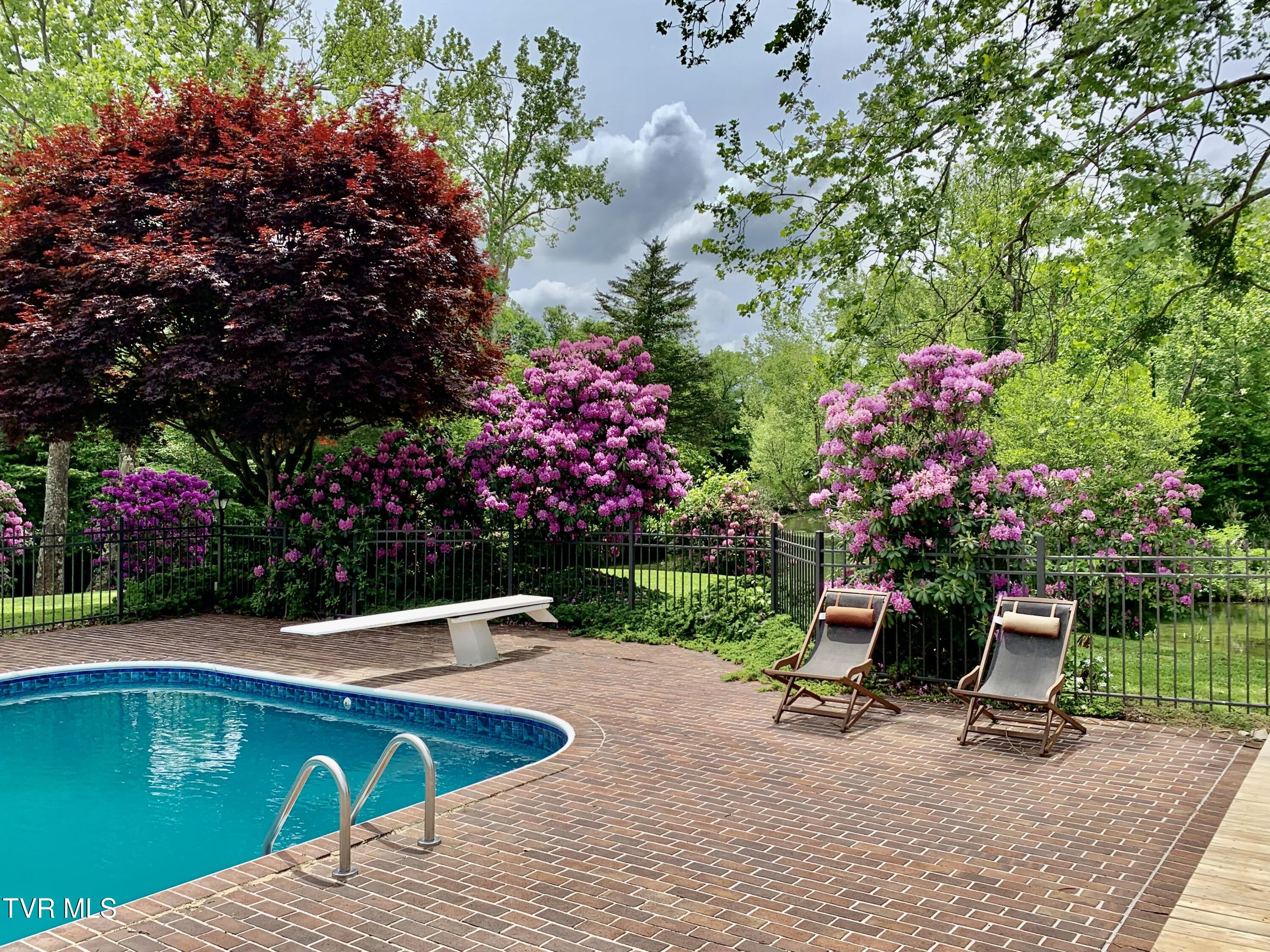 426 River Islands Road Elizabethton, TN 37643 - Photo 85 of 167 IMG_0540