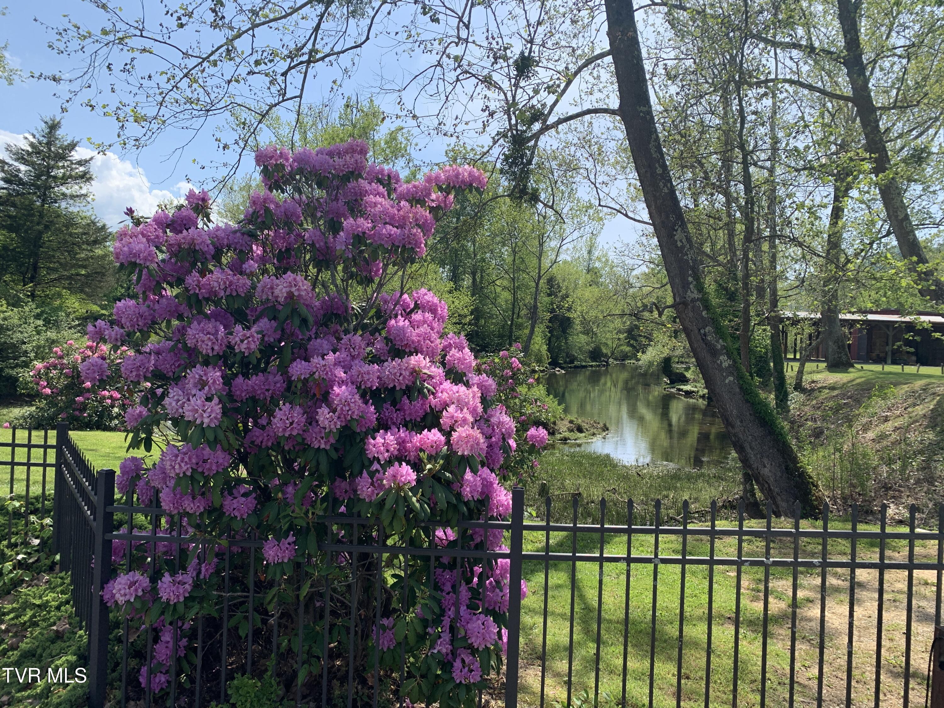 426 River Islands Road Elizabethton, TN 37643 - Photo 94 of 167 61135109787__AA3990C6-562C-4E20-B7B0-73A