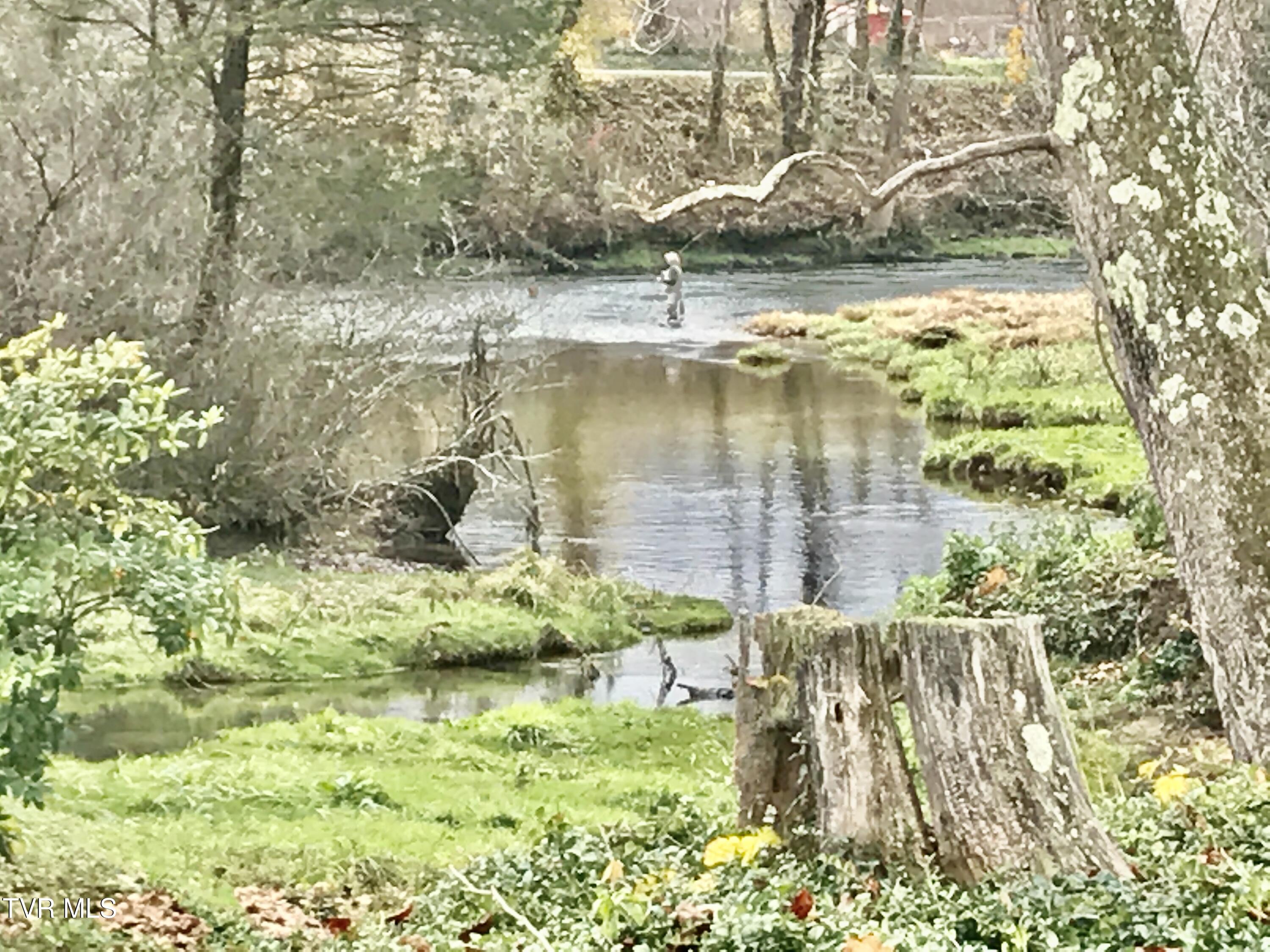 426 River Islands Road Elizabethton, TN 37643 - Photo 95 of 167 IMG_2514