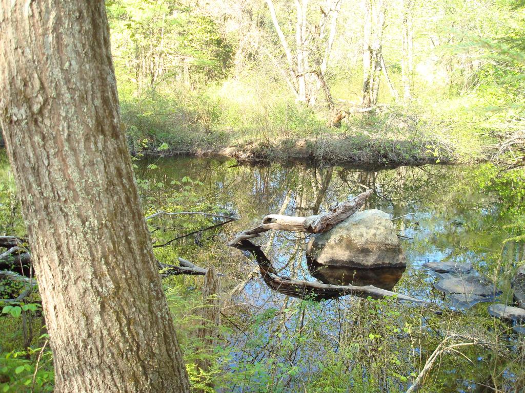 16 Blake Road Epping, NH 03042 - Photo 26 of 27