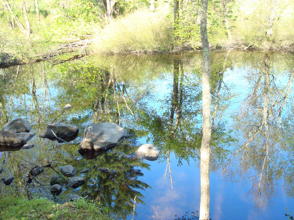 16 Blake Road Epping, NH 03042 - Photo 27 of 27