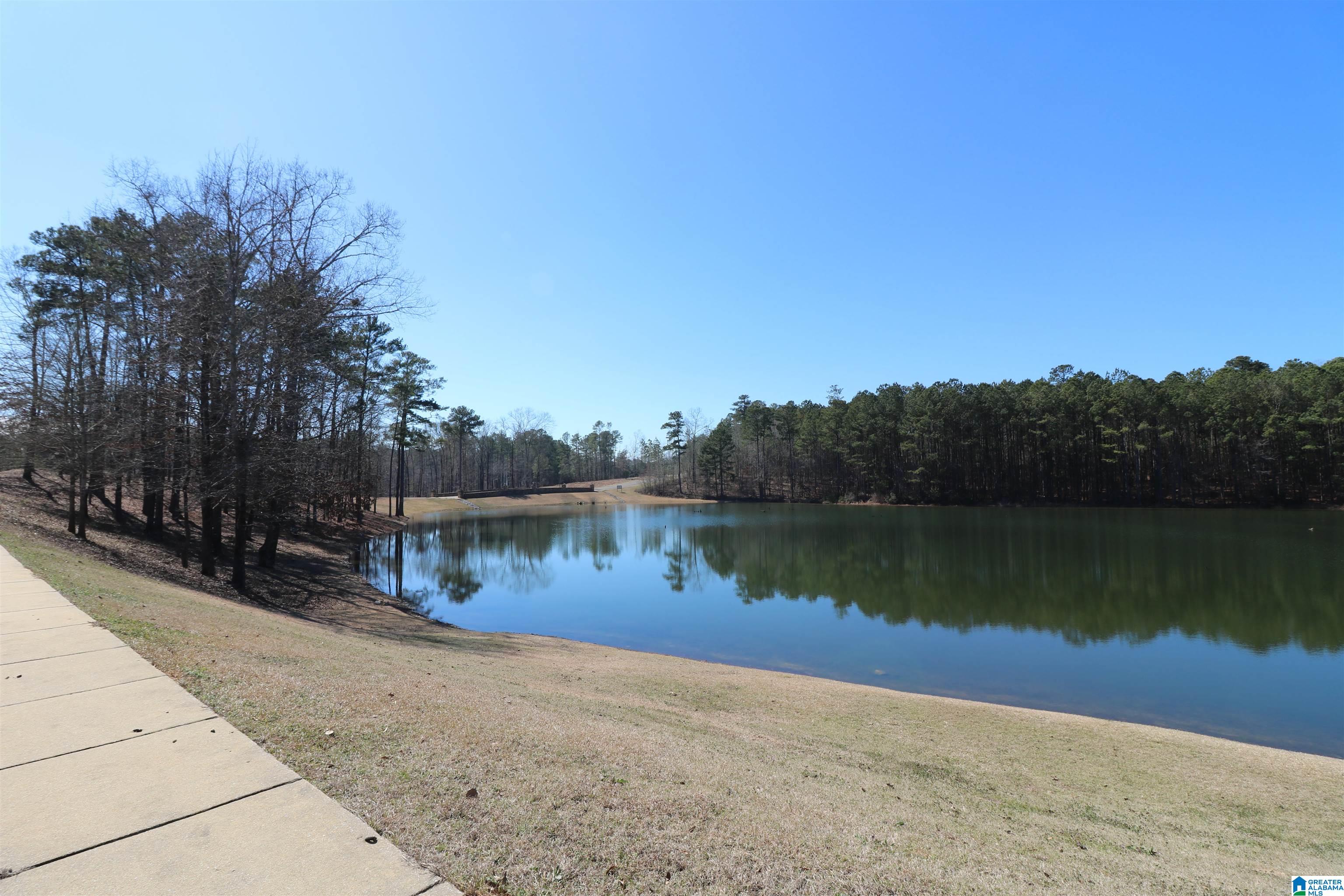 51 Bells Lane, Unit 51 Springville, AL 35146 - Photo 4 of 9