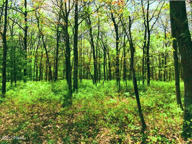 110 Timber Ridge Drive Shohola, PA 18458 - Photo 5 of 5 Lot