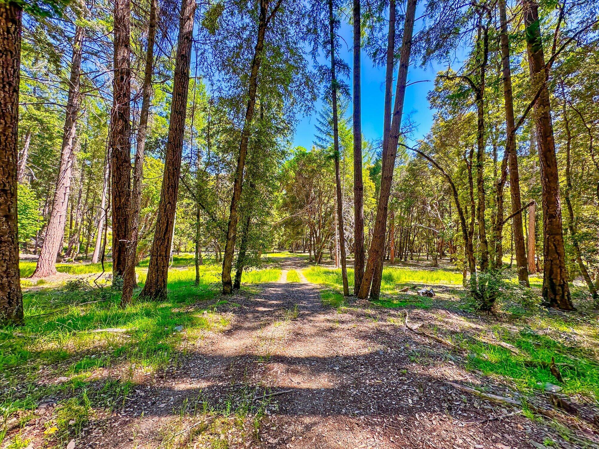6099 Forest Rte 06n06, Unit NONE Salyer, CA 95563 - Photo 35 of 59