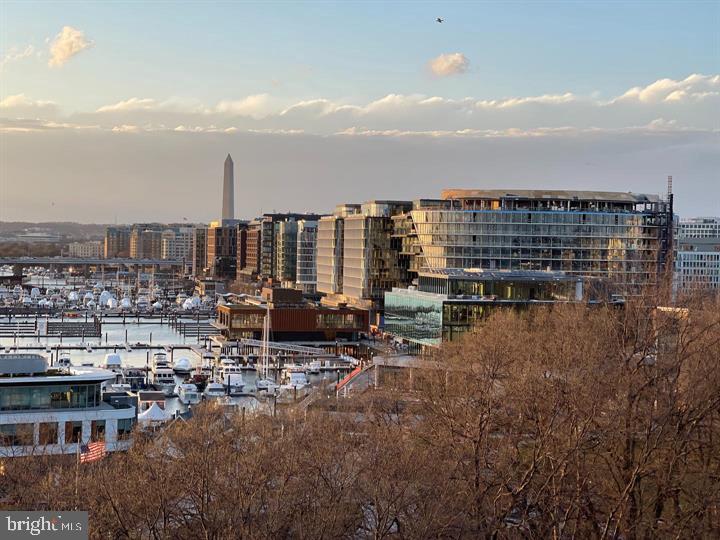 520 N Street Southwest, Unit S618 Washington, DC 20024 - Photo 41 of 62 a view of a lake