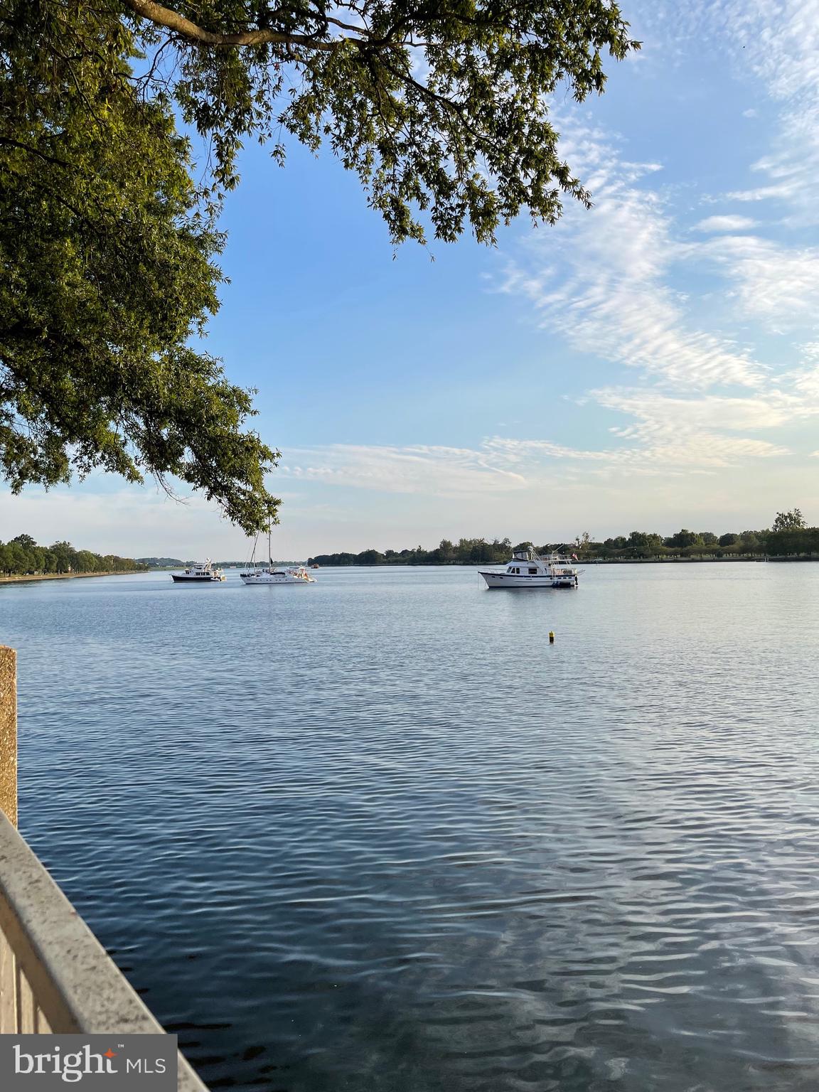 520 N Street Southwest, Unit S618 Washington, DC 20024 - Photo 46 of 62 a view of lake