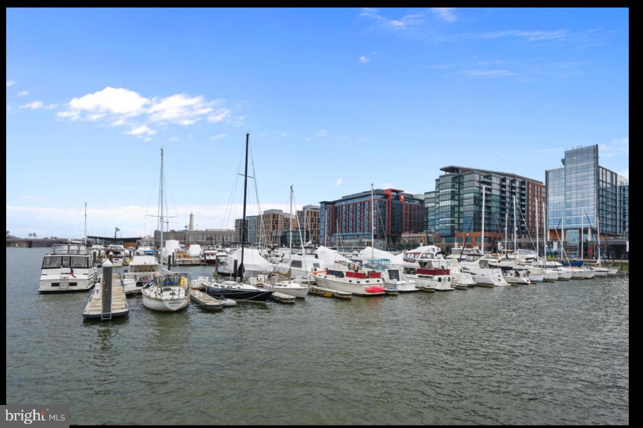 520 N Street Southwest, Unit S618 Washington, DC 20024 - Photo 52 of 62 a view of a lake with boats next to a bridge