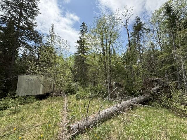390 Woodland Road Princeton, ME 04668 - Photo 4 of 5 IMG_0101 (1)