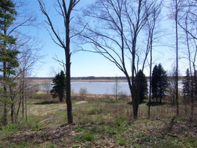 Fox Ridge Saugatuck, MI 49453 - Photo 1 of 6 Primary Photo