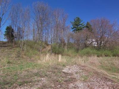 Fox Ridge Saugatuck, MI 49453 - Photo 3 of 6 Additional Photo