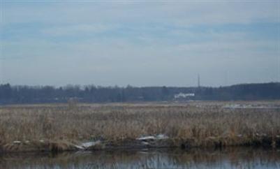 Fox Ridge Saugatuck, MI 49453 - Photo 4 of 6 Additional Photo