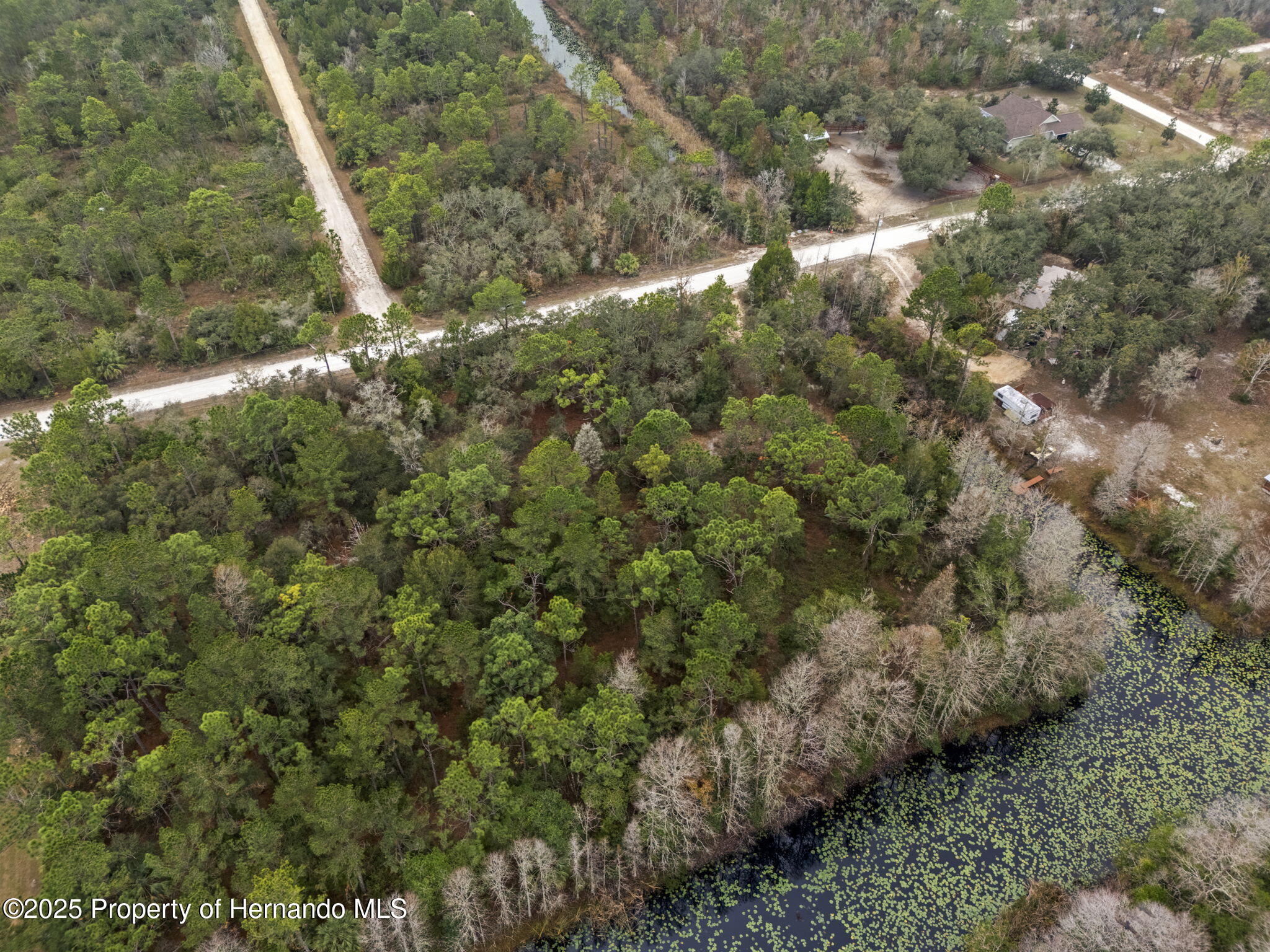 0 Yellowback Road Weeki Wachee, FL 34614 - Photo 11 of 14